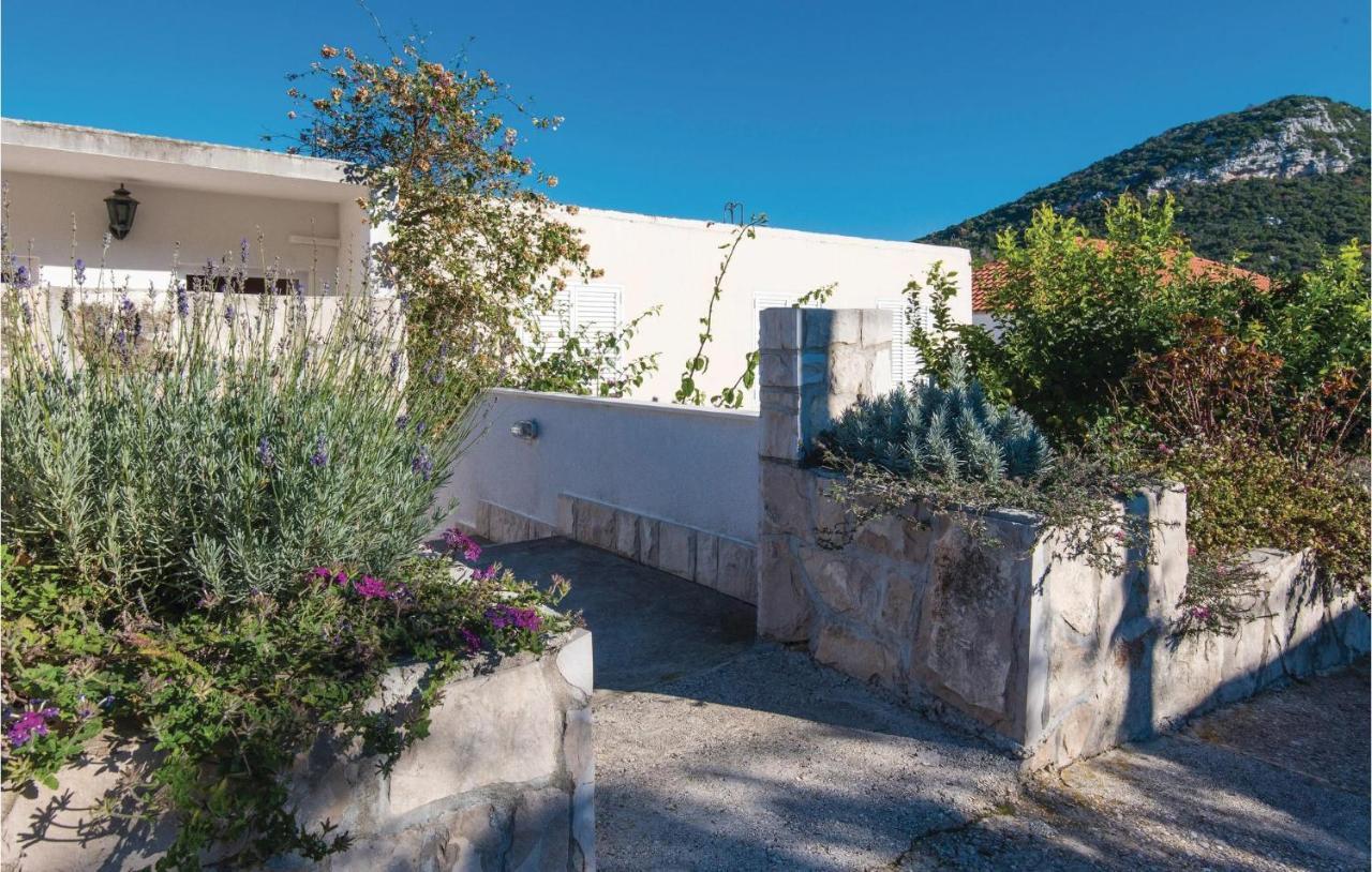 Gorgeous Apartment In Dubrava With Kitchen エクステリア 写真